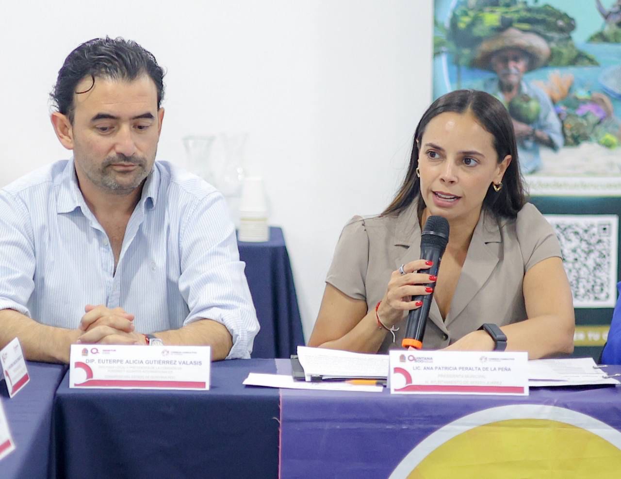 uploads/6/32/01 (1754).Jpeg